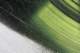 tremorsofmusic06_small.jpg